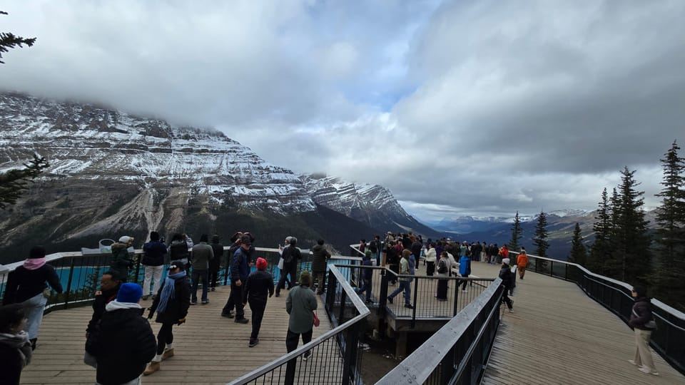 Tour Giornaliero ai Laghi Peyto, Moraine, Louise e al Canyon J...