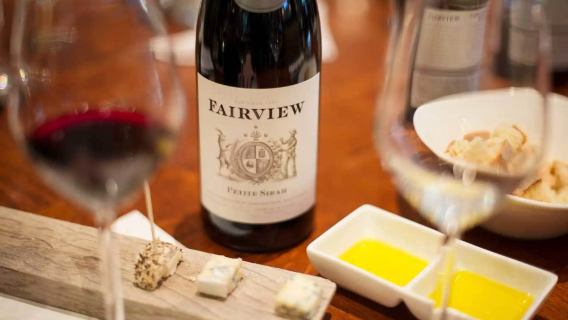 Excursion d'une journée en petit groupe pour déguster des vins au Cap, avec dégustation dans quatre grands domaines viticoles du Cap