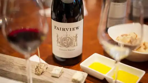 ทัวร์ 1 วัน ชิมไวน์กลุ่มเล็กในเคปทาวน์ ชิมไวน์ที่ไร่องุ่น 4 แห่งในเคปทาวน์