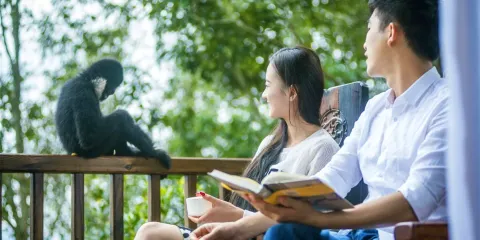 普洱太陽河森林公園 + 小凹子咖啡莊園一日遊【市區上門接送】