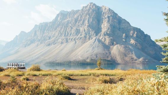 Из Канмора/Банфа: Экскурсия по Icefields Parkway
