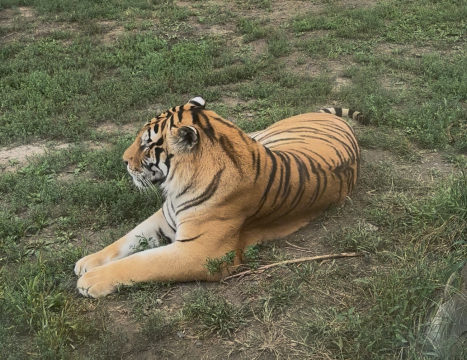 Evidence Exhibition Hall of Unit 731 of the Japanese Army Invading China with admission ticket reser