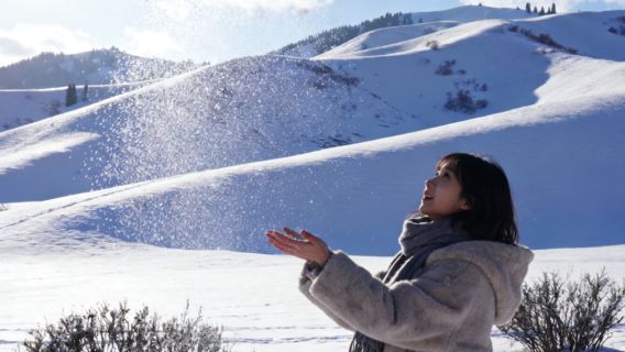 伊犁那拉提一日遊【大巴/小車+空中草原+小車上門接】