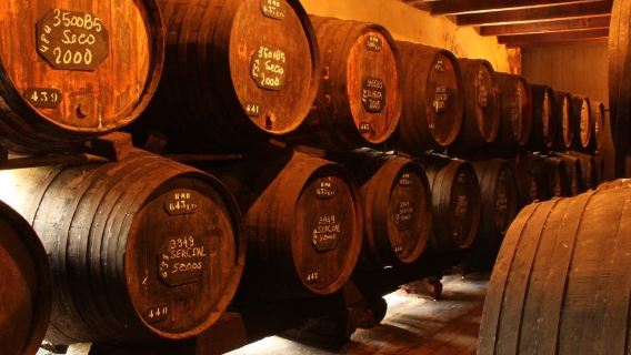 Madeira 19th Century Wine Tour  - Silver