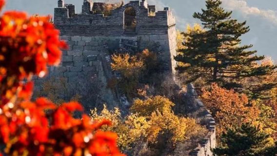 Beijing 1-day tour: Mutianyu Great Wall + Summer Palace (Optional Multilingual Guide + Private Group)
