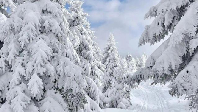 雪鄉大禿頂子山十里霧凇冰雪畫廊一日遊