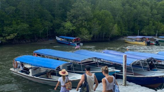 Tour di un'ora tra le mangrovie di Langkawi