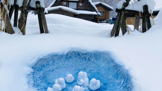 1-day tour from Nagoya to Hida Takayama and Shirakawa-go in Japan