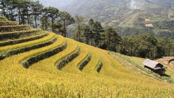 Aldea H'Mong - Descubre la cultura étnica de los H'Mong