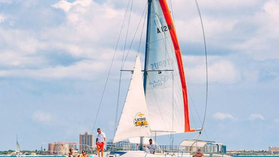 Catamaran Half Day Champagne & Brunch Cruise