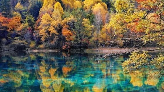 九寨溝一日遊【2-8人小團|可選動車來回|限時專屬福利】