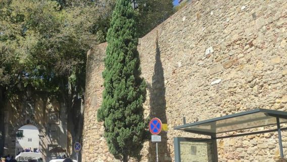 Castillo de San Jorge: Visita guiada en grupos pequeños