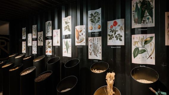 Marseillan: tour della Maison Noilly Prat