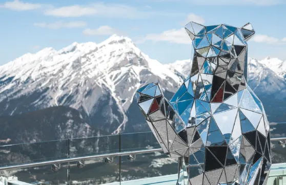 班夫國家公園，強斯頓峽谷一日遊（由班夫/卡爾加里/坎莫爾出發）