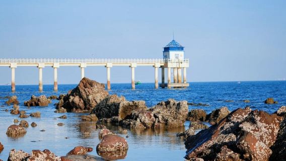 防城港一日遊+白浪灘+白龍古炮台+防城港怪石灘