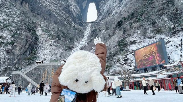 張家界導遊1對1人工講解服務|持證嚮導|全程陪同|（中文/英文/韓語/自駕遊私人導遊）張家界森林公園+天門山