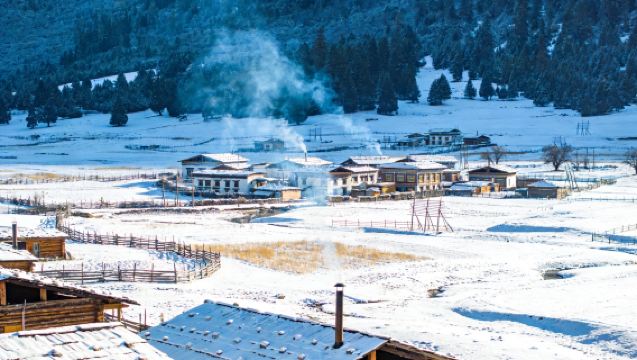 Classic Nyingchi 1-day Tour