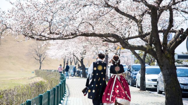 韓國慶州新羅古蹟一日遊 (釜山出發, 世界文化遺產)