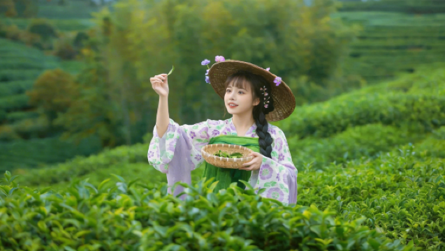 Pengalaman Budaya Teh Wuyishan (Memetik & Membuat Teh/Pelbagai Pakej Teh Dinasti Song Tersedia) Lawatan Bebas Disyorkan untuk Keluarga & Pasangan · Pelancongan Nanping · Pengangkutan Mudah dalam Kawasan Percutian Sangu