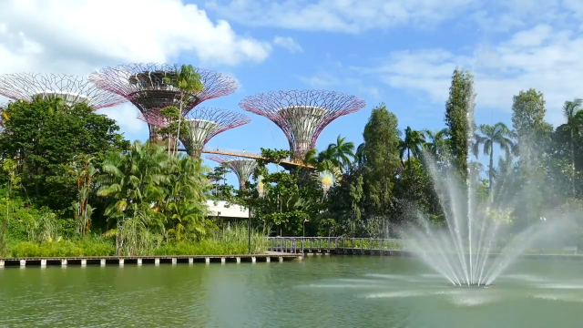 5.23DZQ新加坡演唱會（無門票）+包車遊 + 接送全方案