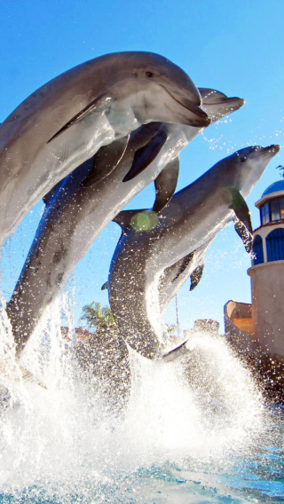 1-day private chartered tour to Old Town, La Jolla Shores Park and San Diego Zoo
