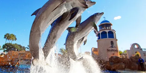 聖地亞哥老城+拉霍亞海岸+聖地亞哥動物園+聖地亞哥海洋世界