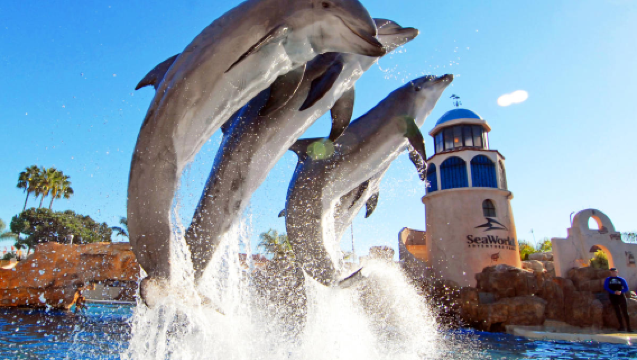 SeaWorld San Diego + Teluk La Jolla + Taman Balboa + Taman Alam Sunset Cliffs