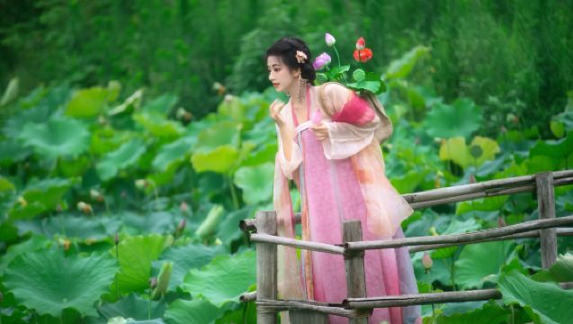 Fotografia de viagem no Condado de Luolong[Fotografia e filmagem em domicílio para acompanhamento, retratos de família, casais, fotos, vídeos curtos, vídeos promocionais, ensaios fotográficos, casamentos, entrega de todos os negativos e tradução]