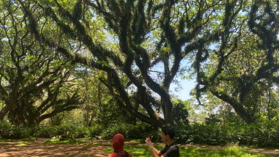 LA GRANDE AVVENTURA DI DE DJAWATAN E BALURAN - Natura, Fauna Selvatica e Paesaggi Mozzafiato Ti Aspettano