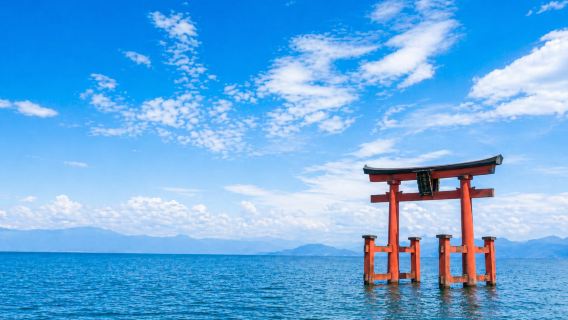 大阪/京都出發 滋賀琵琶湖一日遊｜琵琶湖露台＆白鬚神社
