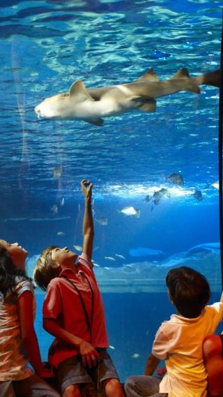 Custom trip to Porto in Portugal: National Museum + Crystal Palace + Oceanarium ※ Adjustable