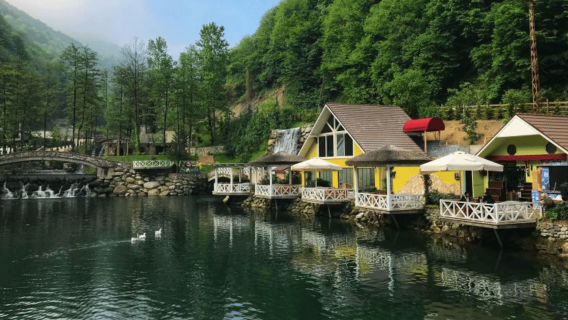 Desde Estambul: Excursión de un día a Sapanca y Maşukiye con almuerzo