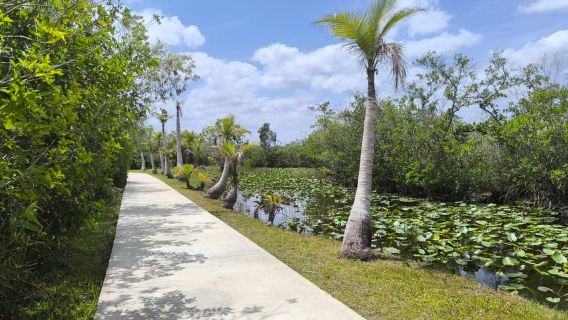 Miami : Excursion en airboat dans les Everglades avec guide francophone et transferts
