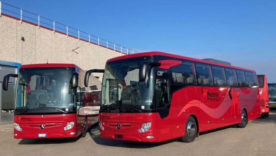 From Fiumicino Airport: 1-Way Bus Transfer to Paganico