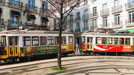Lisbon Sightseeing Tour by Tram: Príncipe Real to Graça and Viewpoints