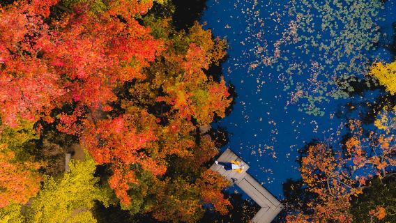 Lawatan sehari menikmati daun maple di Gunung Tianping Suzhou + memetik oren