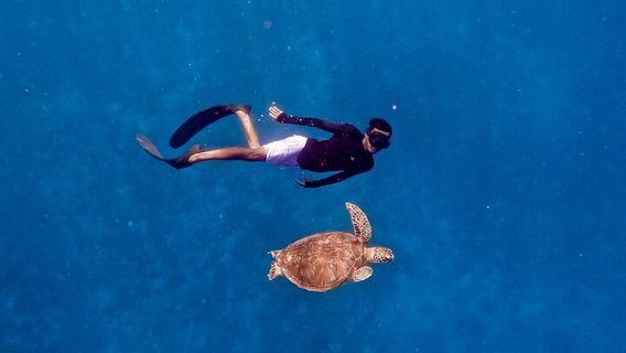 Gili Trawangan