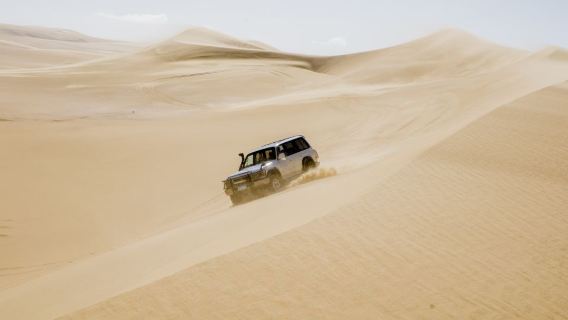 tour 1 ngày Hồ Wadi El Rayyan từ Cairo, Ai Cập