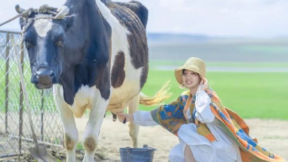 希拉穆仁草原一日遊【拼小團/上門接】