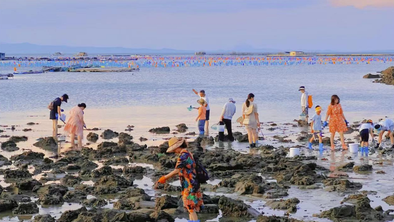 廣東汕頭南澳島深澳灣趕海體驗【提供全套趕海工具+專業教練帶隊指導+收穫免費簡單加工】