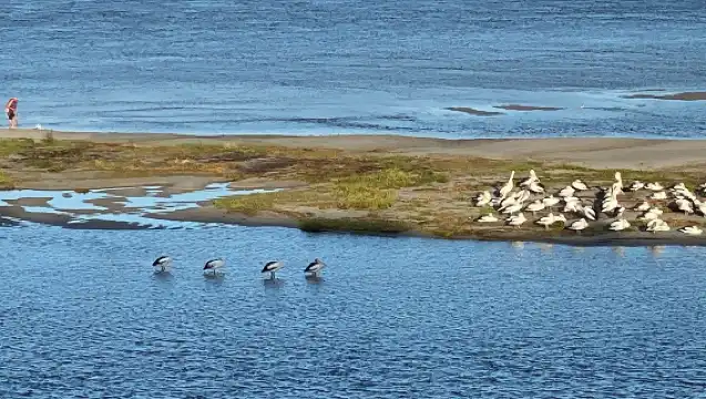 悉尼獵人谷一日遊【含酒莊午餐/中文團/品多種葡萄酒】