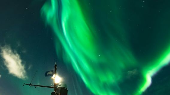 Northern Lights: 2-Hr Boat Tour + Alternative Plan