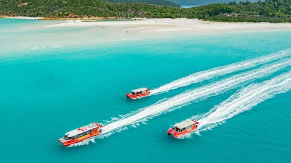 MackayTours