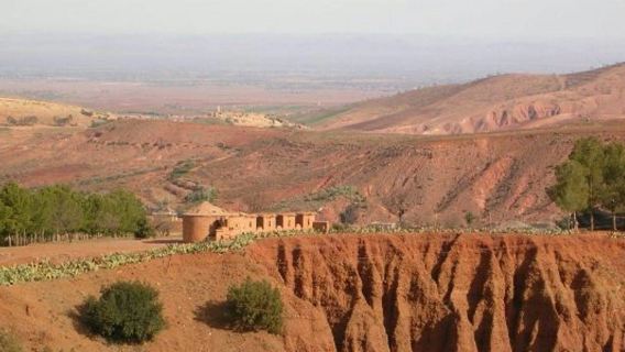 Ourika Valley: Tour + Pickup from Marrakech