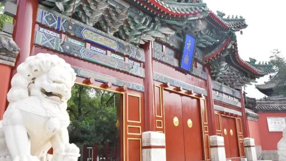 【定州博物館+貢院+開元寺塔+文廟】深度精講 【一單一團】