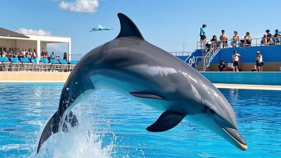 [ ทัวร์วันเดียว/ทัวร์หลายวัน รถเช่าเหมา ตั๋วเข้าชม กลางวัน และรถเช่า