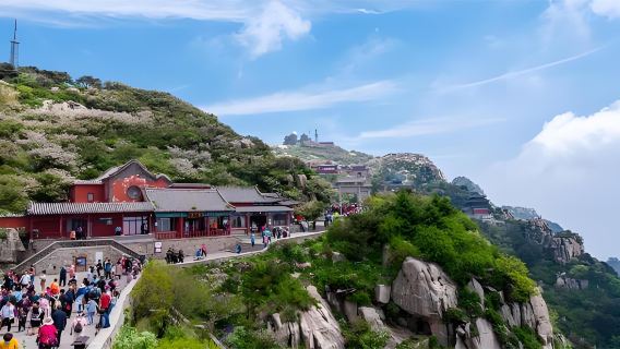 Индивидуальный однодневный тур по Цзинаню: источник Баоту + озеро Дамин + гора Тысячи Будд. Маршрут можно изменить и адаптировать под ваши нужды.