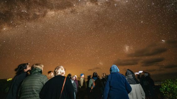 PerthTours
