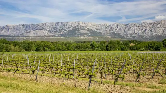 Wine tour in Cezanne countryside from Aix en Provence