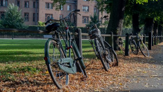 Cambridge University Walking Tour
